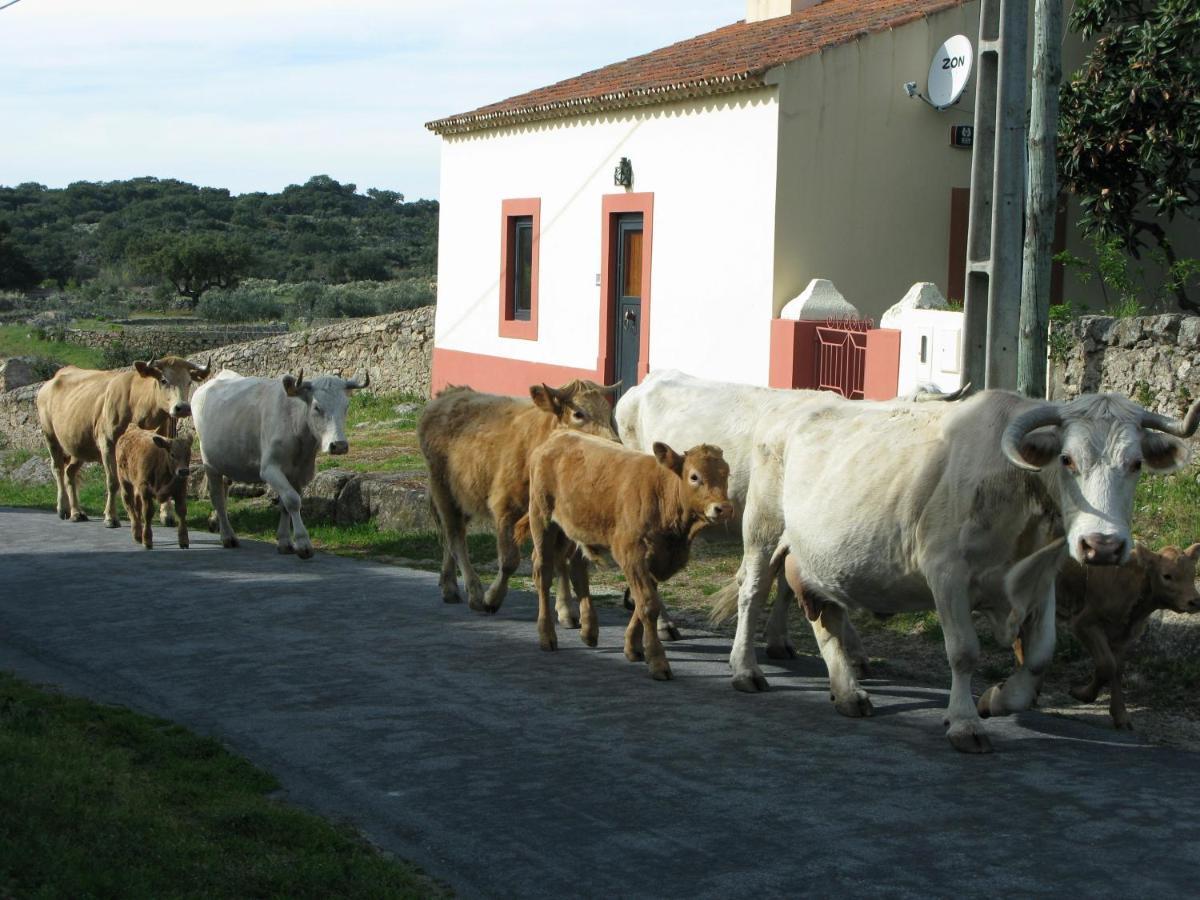 Casas Da Estacao, Country Houses Marvão Kamer foto